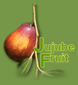 Jujube Fruit