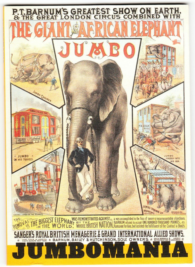 Jumbo The Elephant