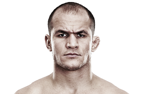 Junior Dos Santos Wife Visana Picozzi