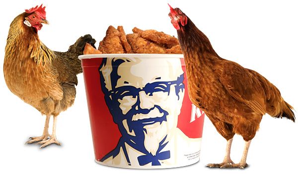 Kfc Chicken Bucket