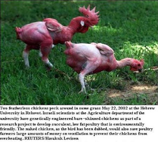 Kfc Chicken Mutant
