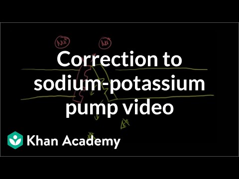 Khan Academy Saltatory Conduction