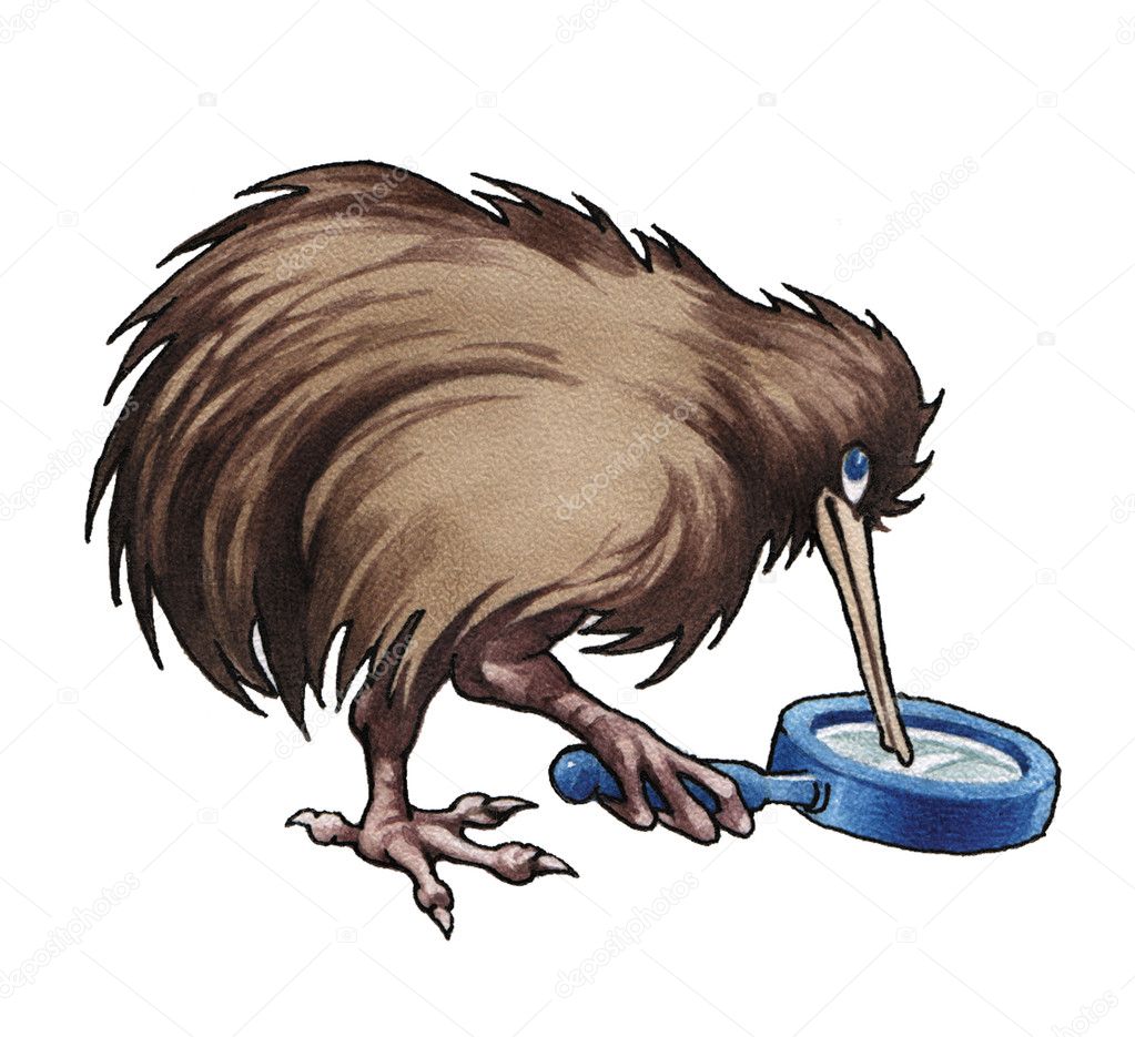 Kiwi Animal Drawing