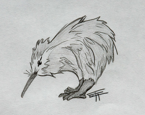 Kiwi Animal Drawing