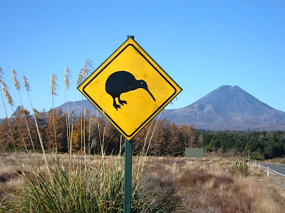 Kiwi Animal Fruit