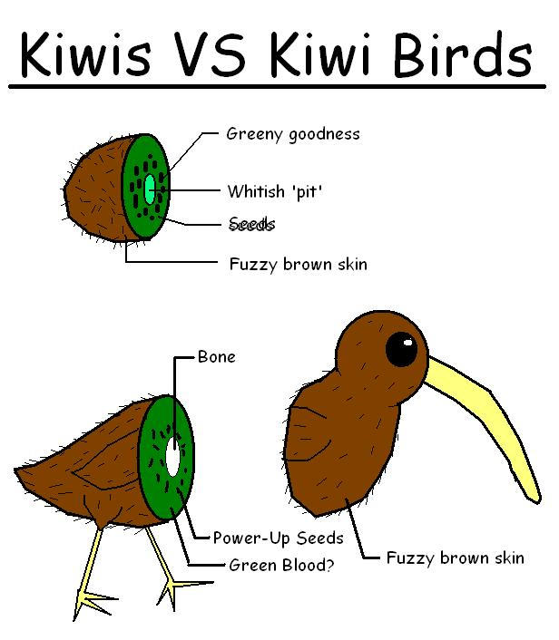 Kiwi Fruit Bird