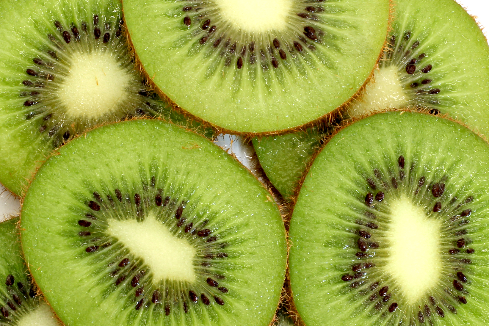 Kiwi Fruit Slice