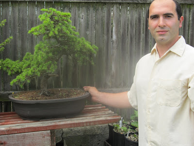 Kiwi Tree Bonsai