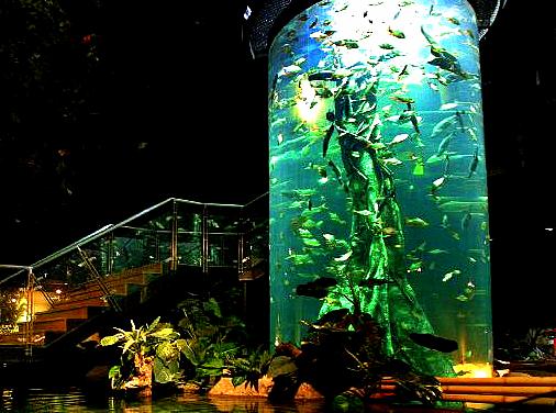 Klcc Aquaria