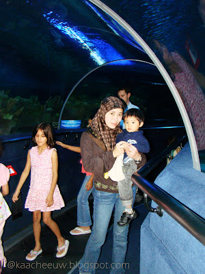 Klcc Aquaria Price