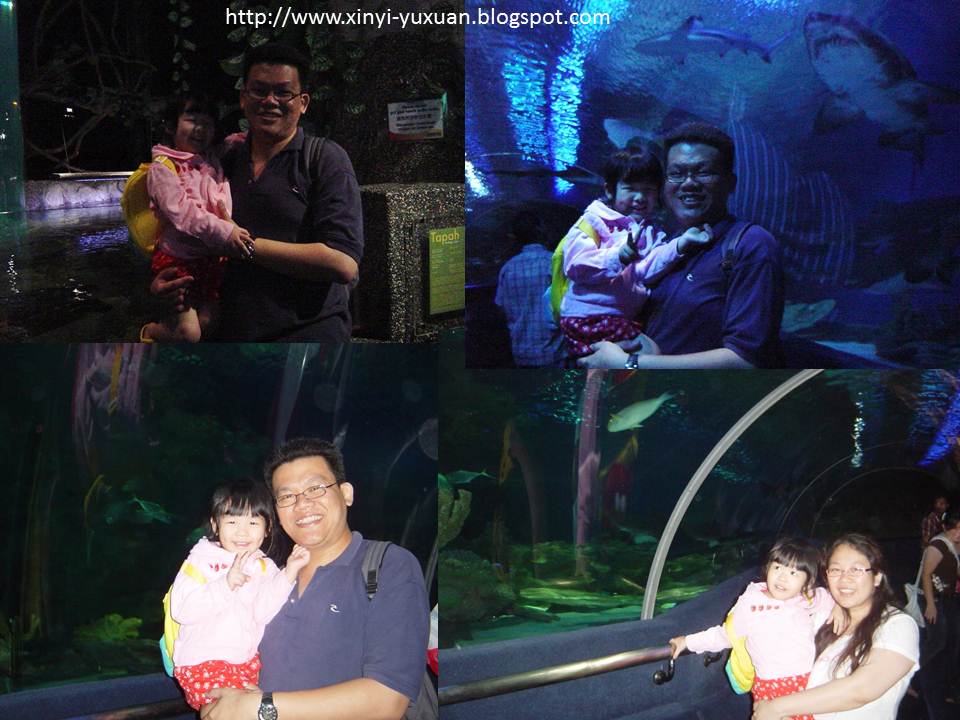 Klcc Aquaria Promotion