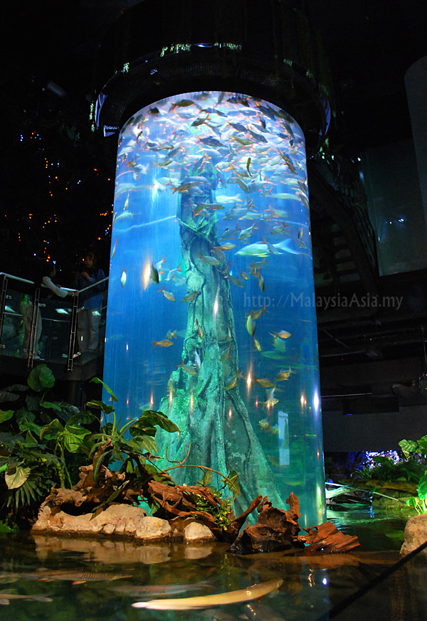 Klcc Aquaria Promotion