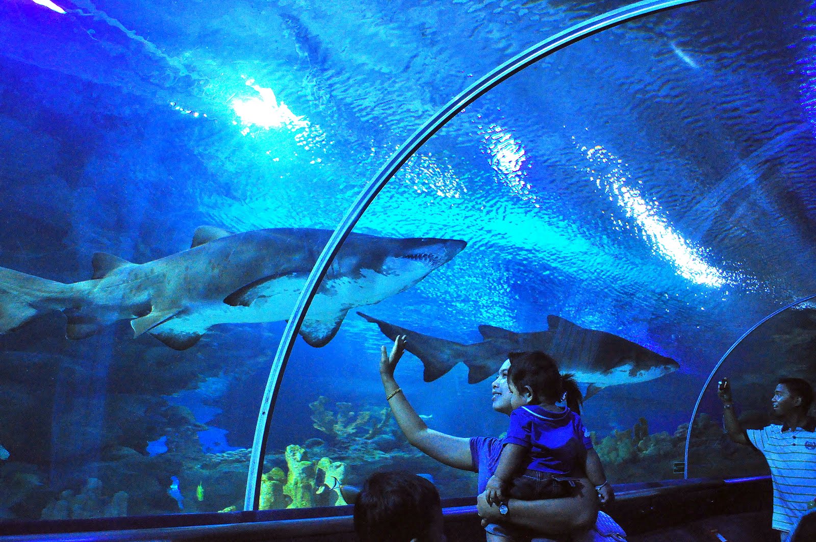 Klcc Aquaria Time