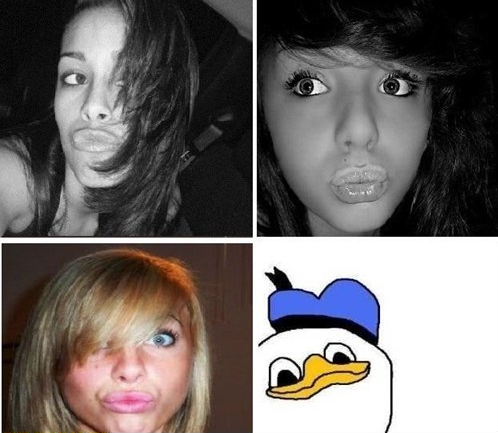 Know Your Meme Dolan Duck