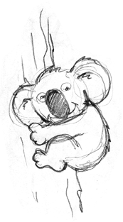Koala Bear Cartoon