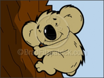 Koala Cartoon Characters
