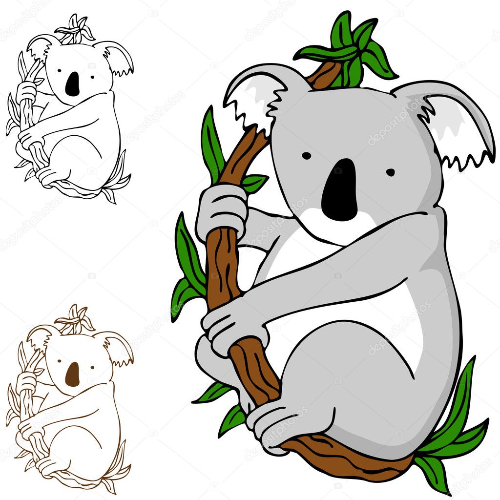 Koala Cartoon