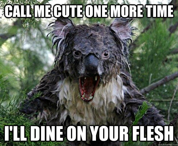 Koala Meme Blank