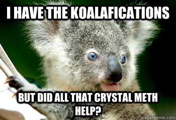 Koala Meme Koalafications