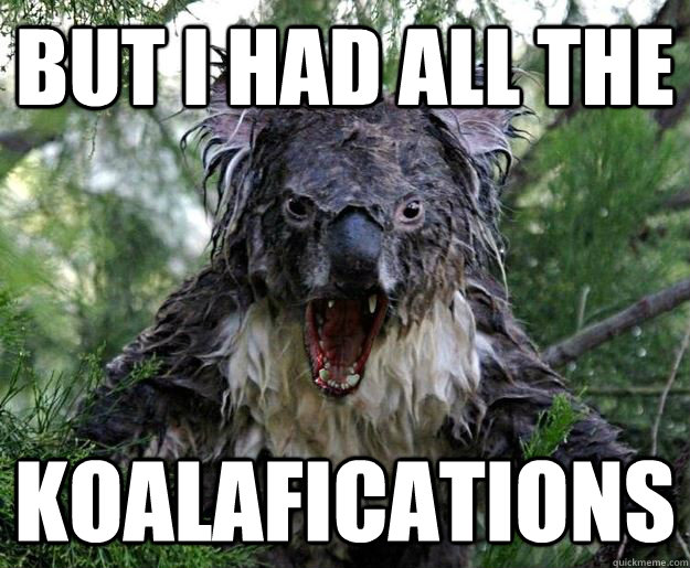 Koala Meme Koalafications