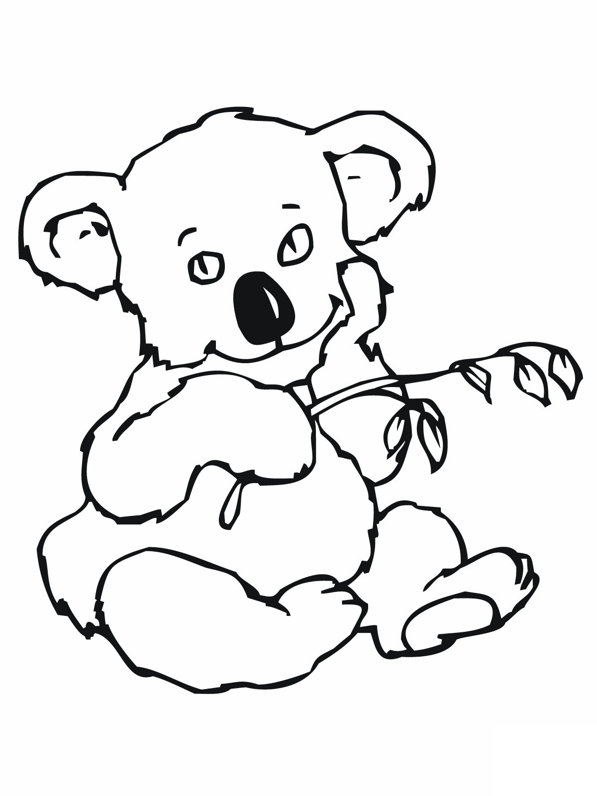 Koala Pictures For Kids