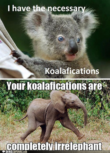 Koalafications Elephant