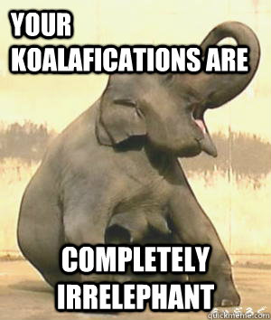 Koalafications Joke