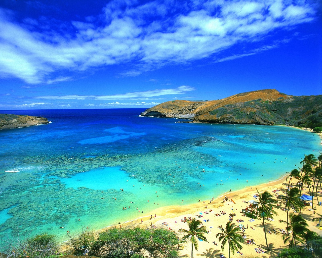 Kona Hawaii Beaches