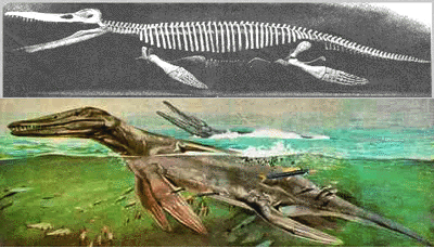 Kronosaurus Facts