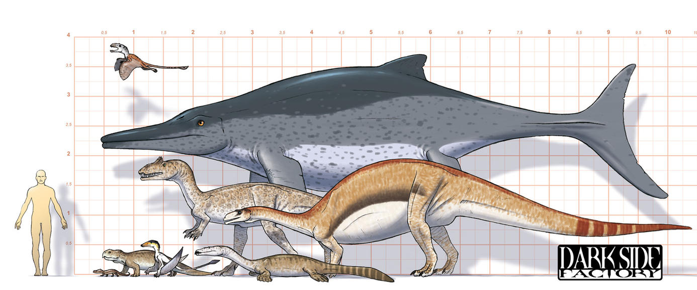 Kronosaurus Size