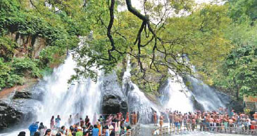 Kuttalam 5 Falls