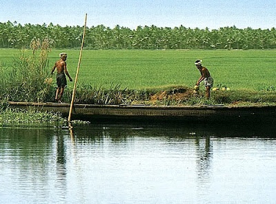 Kuttanad Agriculture