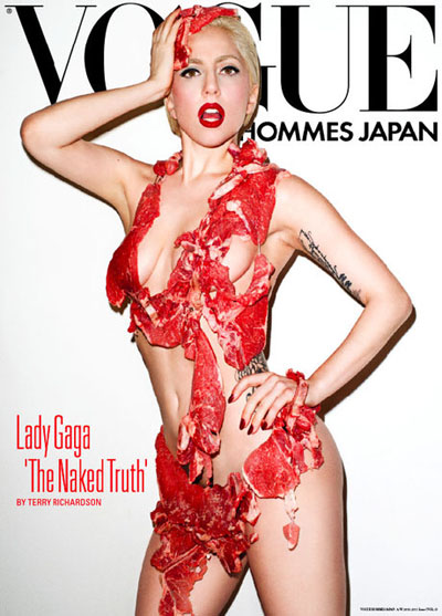 Lady Gaga Meat Dress Fancy Dress