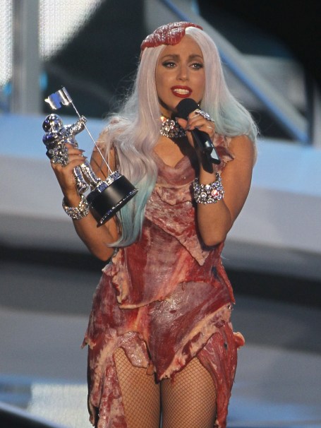 Lady Gaga Meat Dress Halloween Costume