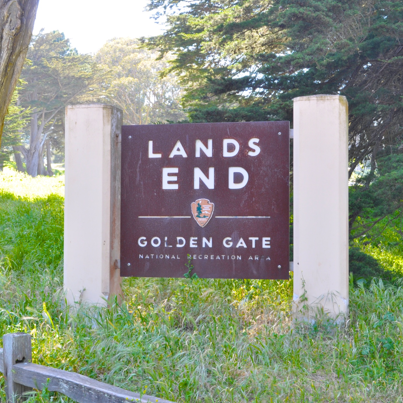 Lands End San Francisco Dogs