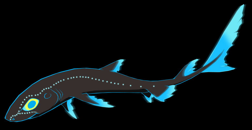 Lanternshark