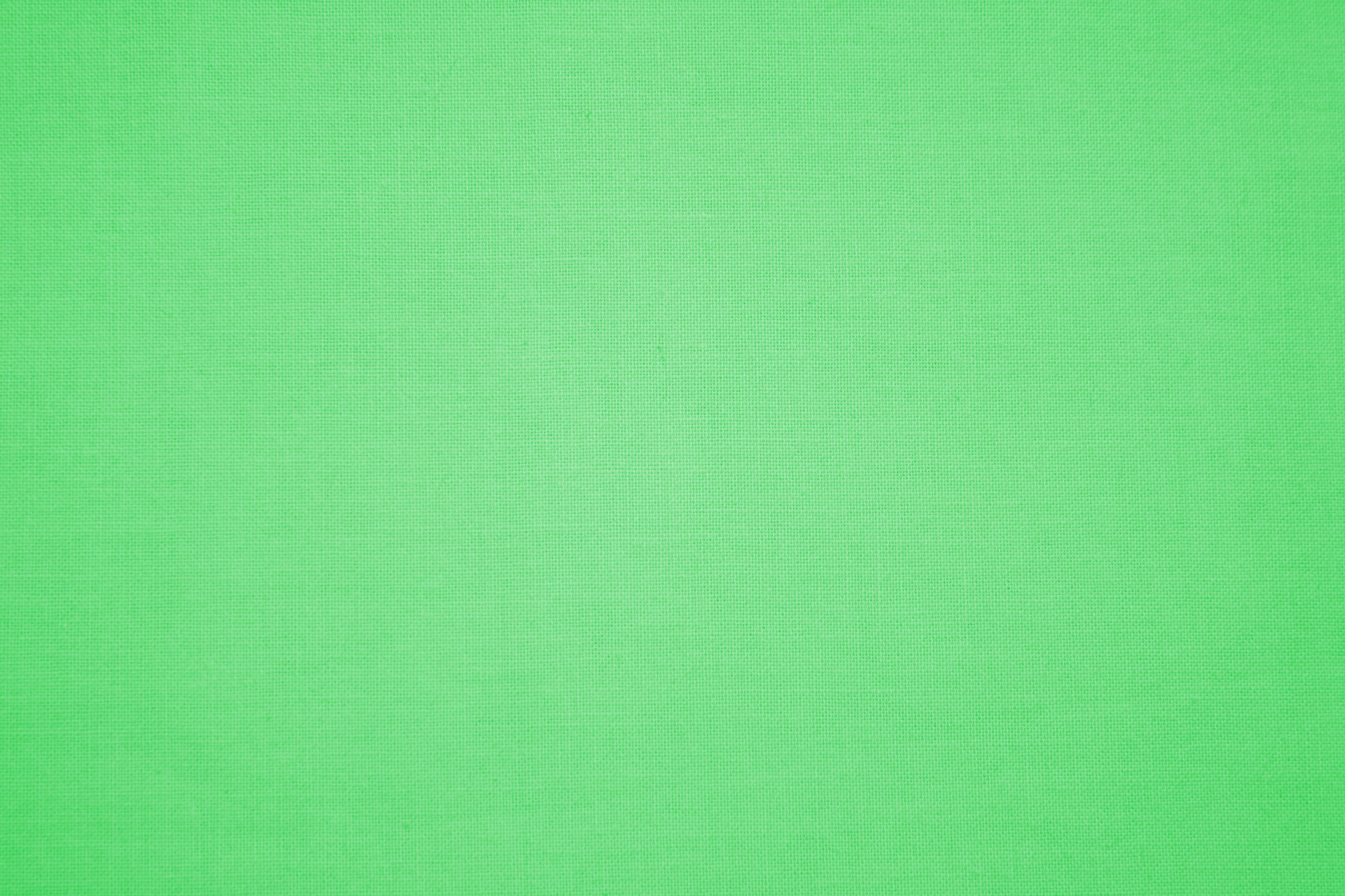 Light Green Background Design