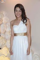 Linda Chung 2012 Album