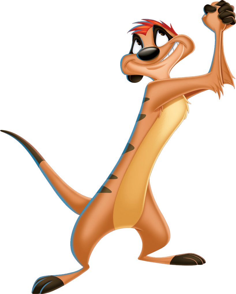 Lion King Characters Timon