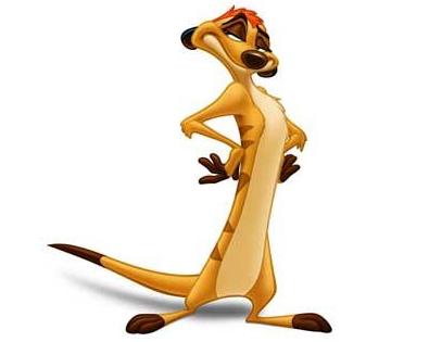 Lion King Characters Timon