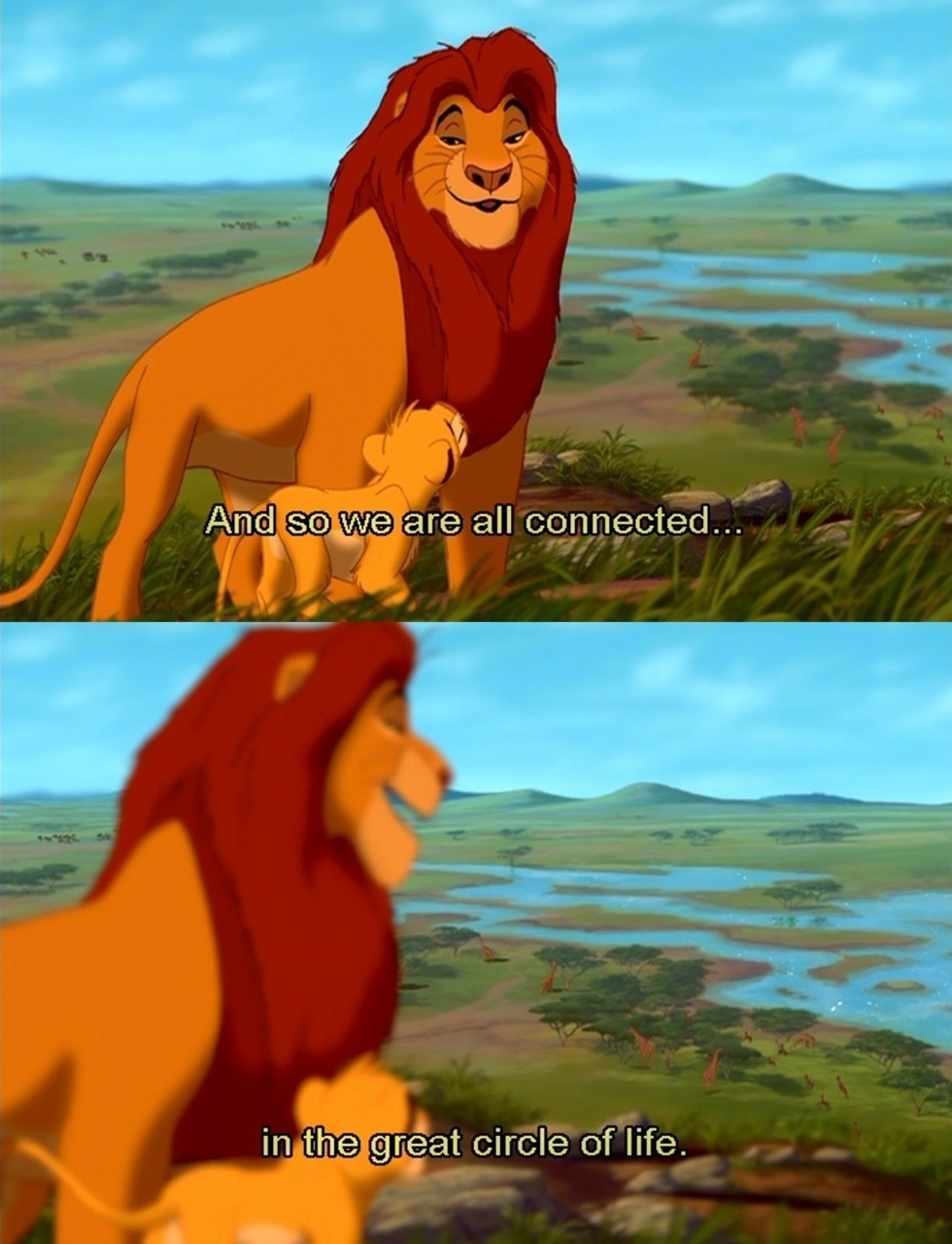 Lion King Quotes Tumblr