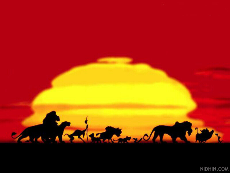 Lion King Wallpaper Simba
