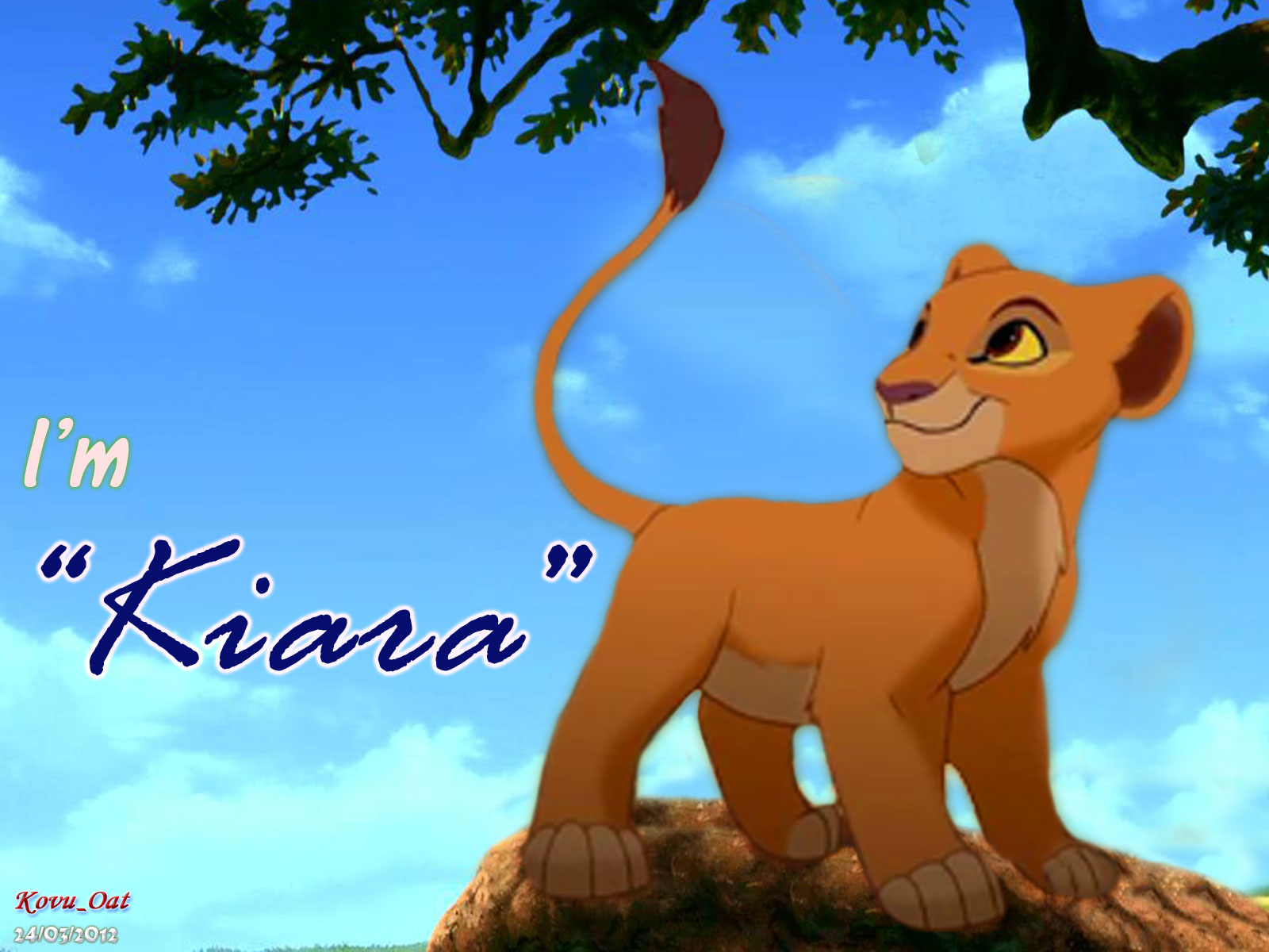 Lion King Wallpapers Hd