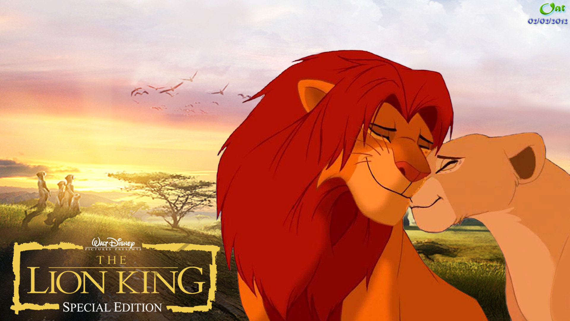 Lion King Wallpapers Hd