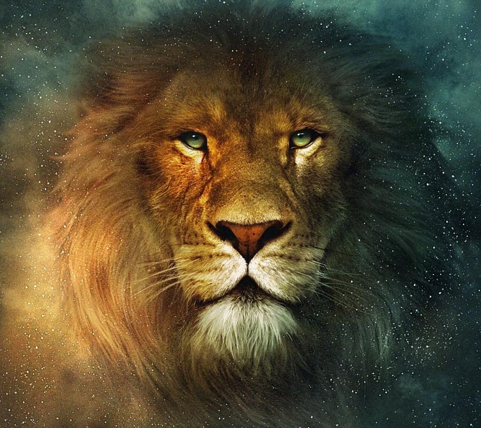 Lion Wallpaper Hd Pc