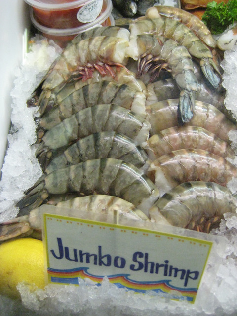 Live Jumbo Shrimp