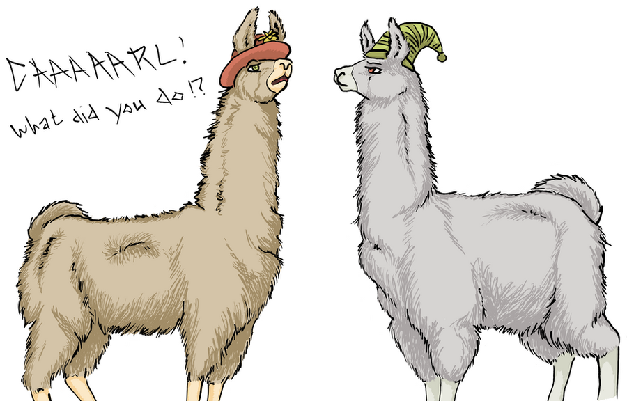 Llamas With Hats Wallpaper