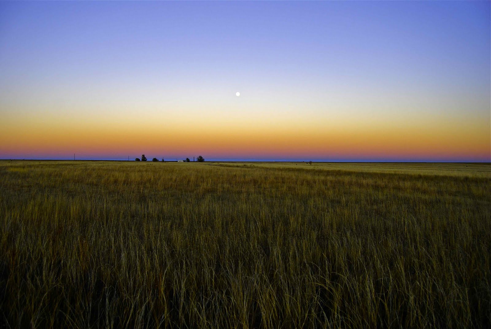 Llano Estacado