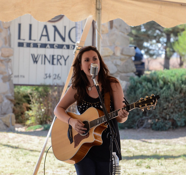 Llano Estacado Wine And Clay Festival