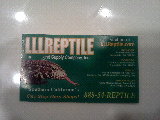 Lllreptile Facebook